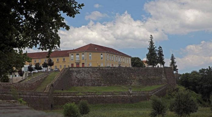 Coronavírus: Adega de Monção paga antecipadamente 3.4 milhões de euros aos produtores associados adega de monção produtores associados