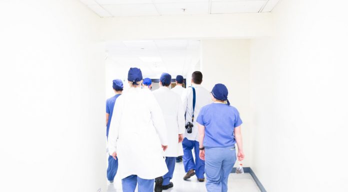 150 médicos de saúde pública enviam carta à Provedora de Justiça Carta dos médicos de saúde pública à provedora da justiça