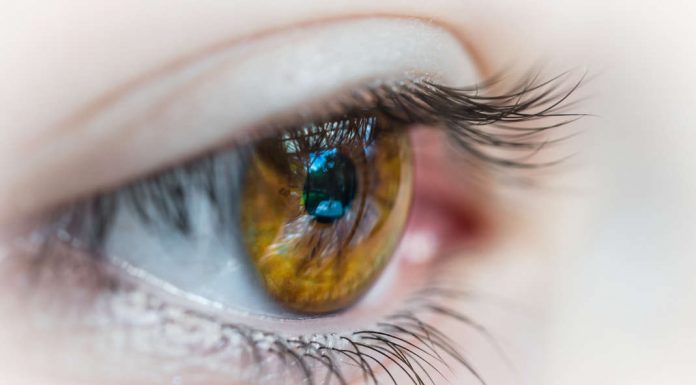 Cuidados a ter com os olhos em casa cuidados a ter com os olhos