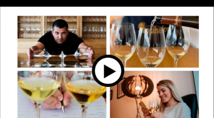 Um novo enoturismo e o futuro das provas de vinho em casa? Soalheiro cria prova digital provas de vinho em casa