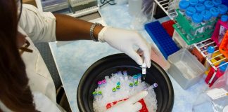 Técnicos de análises clínicas temem que não hajam testes de diagnóstico suficientes para o Covid-19 no SNS técnico de análises clínicas