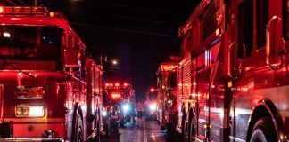 A aicep Global Parques apoia os Bombeiros Voluntários de Santo André bombeiros voluntários de santo andré