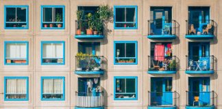 Cidade FM lança nova rubrica no Instagram com o melhor das vizinhas de todo o país cidade fm espetáculo da vizinha instagram
