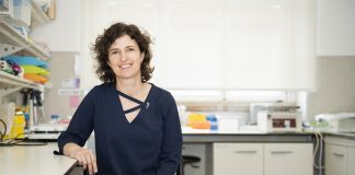 Neurociências da UC recebem mais de 3 M€ para investigar doenças do cérebro e envelhecimento cardiovascular neurociencias