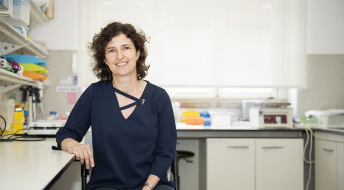 Neurociências da UC recebem mais de 3 M€ para investigar doenças do cérebro e envelhecimento cardiovascular neurociencias