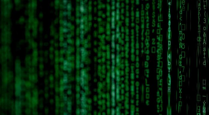 Ciência de Dados: NOVA IMS reforça formação superior em área com grande défice de quadros ciencia de dados