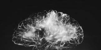 COVID-19: cientistas lançam medidas de segurança para a investigação na área da neurociência investigação na área da neurociência
