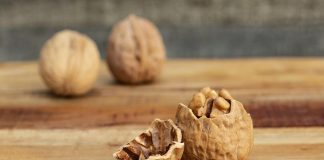 Nematodicida: resíduos do fruto da nogueira combatem parasitas de plantas novos nematodicidas de origem natural resultam de uma colaboração iniciada há cerca de uma década