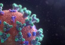 Número de TSDT infetados continua por revelar número de tsdt infetados