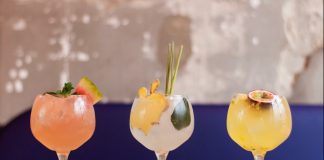 Celebrar a chegada do Verão com “Cocktails em Casa” cocktails em casa