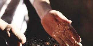 Confeitaria Moura: 2019 foi o melhor ano de sempre, 128 anos depois… confeitaria moura