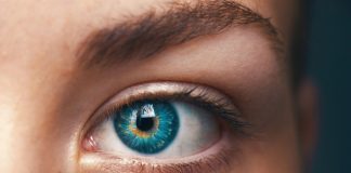 Um webinar para aprender a ganhar tempo com a inteligência emocional inteligência emocional