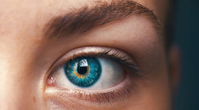 Um webinar para aprender a ganhar tempo com a inteligência emocional inteligência emocional