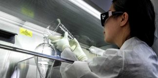 Artrite reumatoide: i3S recorre a microchips na personalização de tratamentos artrite reumatoide