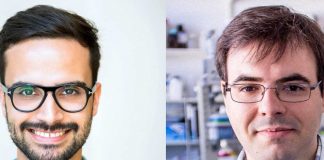 Cartografia cerebral: investigadores portugueses participam em estudo pioneiro que aprofunda a área cartografia cerebral