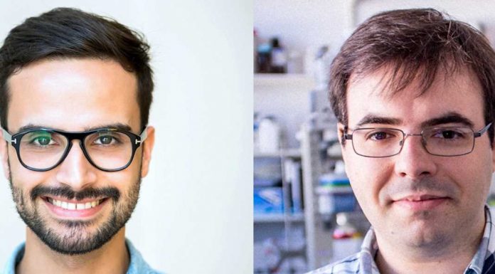 Cartografia cerebral: investigadores portugueses participam em estudo pioneiro que aprofunda a área cartografia cerebral
