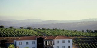 Casa das Pipas volta a receber a «Chave Verde» casa das pipas