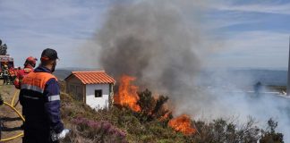 Proteção contra incêndios rurais: cientistas definem melhores práticas para infraestruturas protecao contra incendios