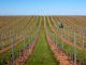 Pias, da venda a granel à autenticidade do vinhos Família Margaça pias vinhos família margaça