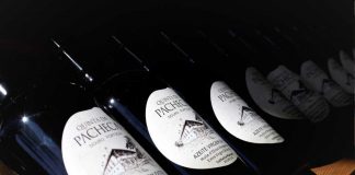 Azeite Quinta da Pacheca é prata no concurso “Azeites de Trás-os-Montes e Alto Douro” azeite Quinta da Pacheca