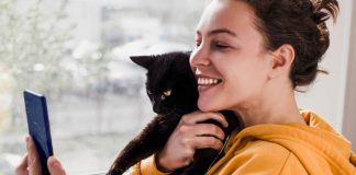 Como fotografar gatos: 5 dicas infalíveis como fotografar gatos