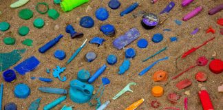 “The Plastic Hike”: SEA LIFE Porto junta-se à iniciativa the plastic hike