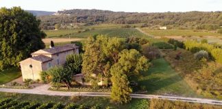 Vinhos de John Malkovich chegam a Portugal vinhos john malkovich