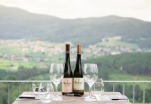 Vinhos Soalheiro: reconhecimento internacional dá projeção à casta Alvarinho vinhos soalheiro