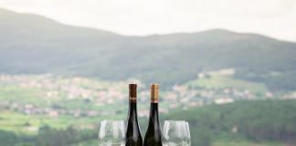 Vinhos Soalheiro: reconhecimento internacional dá projeção à casta Alvarinho vinhos soalheiro