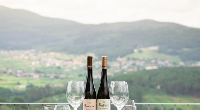 Vinhos Soalheiro: reconhecimento internacional dá projeção à casta Alvarinho vinhos soalheiro