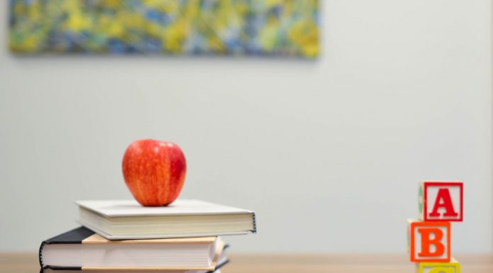 Regresso às Aulas: 5 dicas para preparar um novo ciclo regresso às aulas