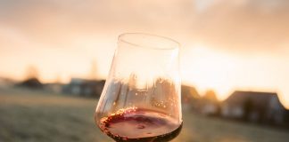 CABRIZ Reserva Tinto 2016 vale 93 pontos para a revista Wine & Spirits cabriz reserva tinto