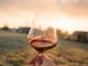 CABRIZ Reserva Tinto 2016 vale 93 pontos para a revista Wine & Spirits cabriz reserva tinto