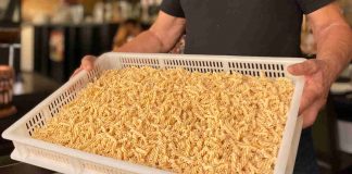 Restaurante de Matosinhos produz pão e massas sem glúten, de forma artesanal… massas sem glúten