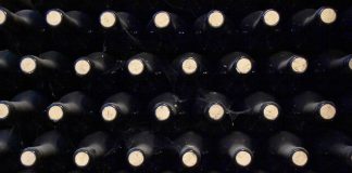IVDP e NOVA IMS usam AI para otimizar comércio de vinhos do Douro e do Porto produção e comércio de vinhos
