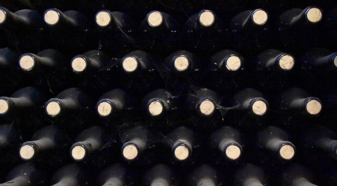 IVDP e NOVA IMS usam AI para otimizar comércio de vinhos do Douro e do Porto produção e comércio de vinhos