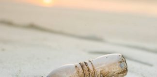Sea The Plastic: as CIP’s e o Rotary Club do Porto acolheram dois jovens velejadores sea the plastic