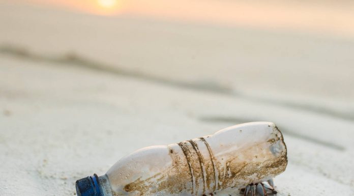 Sea The Plastic: as CIP’s e o Rotary Club do Porto acolheram dois jovens velejadores sea the plastic