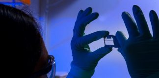 TecniCov: consórcio liderado pela UC desenvolve testes rápidos de baixo custo para detetar a resposta imunitária ao vírus SARS-CoV-2 tecnicov