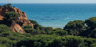 Geoparque Algarvensis apresenta website em dezembro geoparque algarvensis