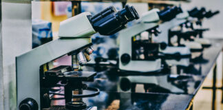 Projetos de investigação científica da FCT NOVA em destaque na Noite Europeia dos Investigadores projetos de investigação científica