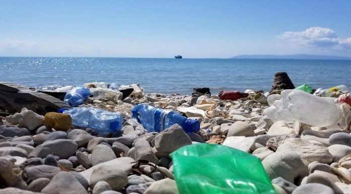 Reciclagem de consumíveis: HP expande Planet Partners para reduzir plásticos nos oceanos reciclagem de consumiveis