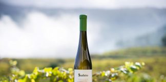Soalheiro Terramatter: natural e intemporal soalheiro terramatter