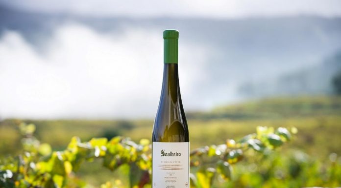 Soalheiro Terramatter: natural e intemporal soalheiro terramatter