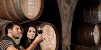 Turismo enogastronómico: Porto e Norte quer ser referência mundial turismo enogastronomico