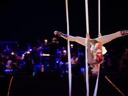 Teatro do Mar apresenta NÍMA, na Gala do Circo de Natal do Coliseu do Porto teatro do mar na Gala do Circo de Natal do Coliseu do Porto