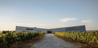 Compra da vinícola Caminhos Cruzados dá origem ao Grupo Terras e Terroir grupo terras e terroir