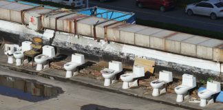 Aluna da UC integra World Toilet Organization world toilet organization