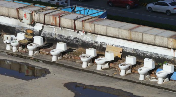 Aluna da UC integra World Toilet Organization world toilet organization