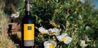 Borges Quinta da Soalheira Douro Tinto 2018 com 90 pontos da Wine Enthusiast borges quinta da soalheira